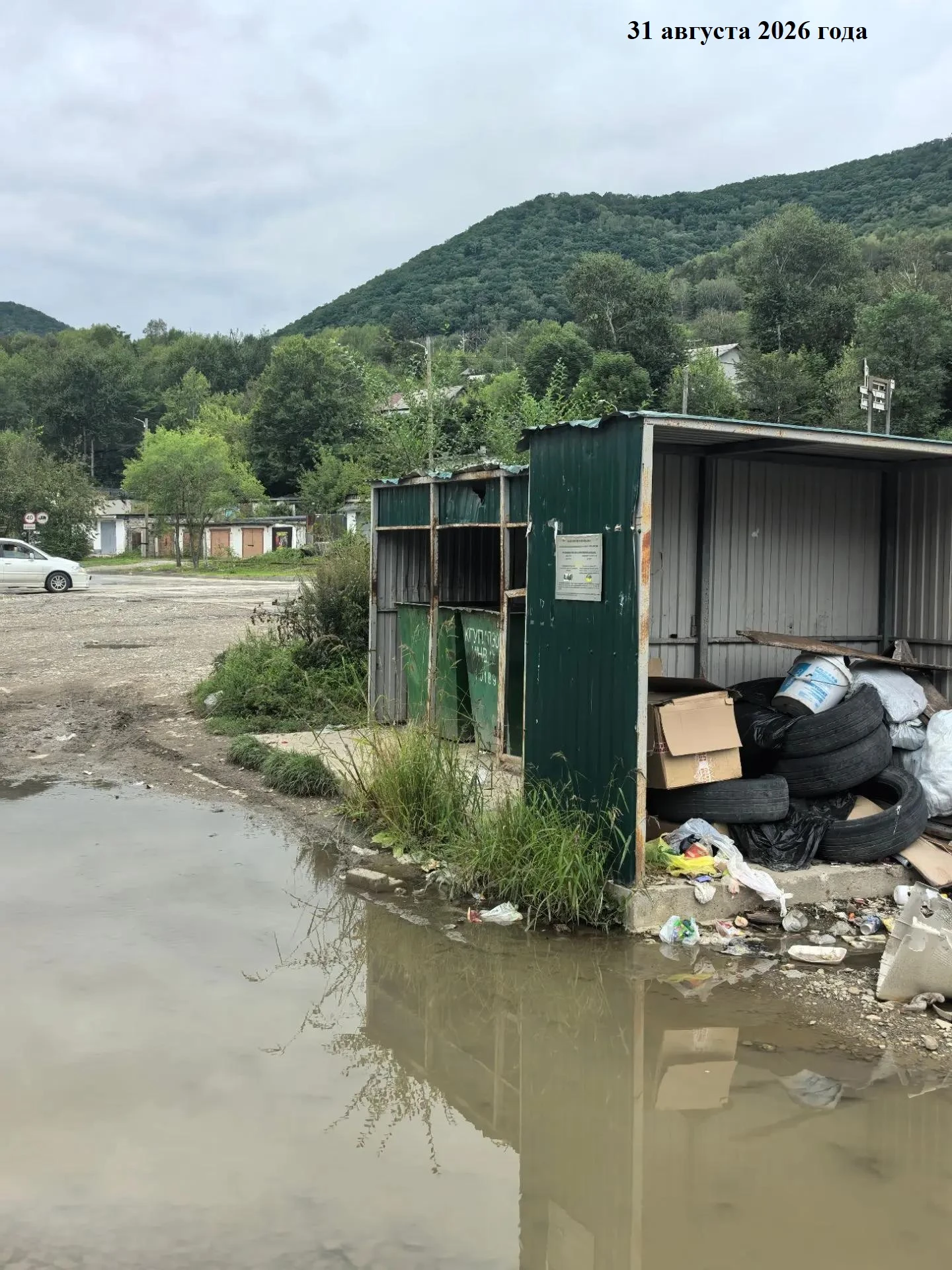 🗑 Внимание! Что нельзя выбрасывать в обычные баки в Дальнегорске?