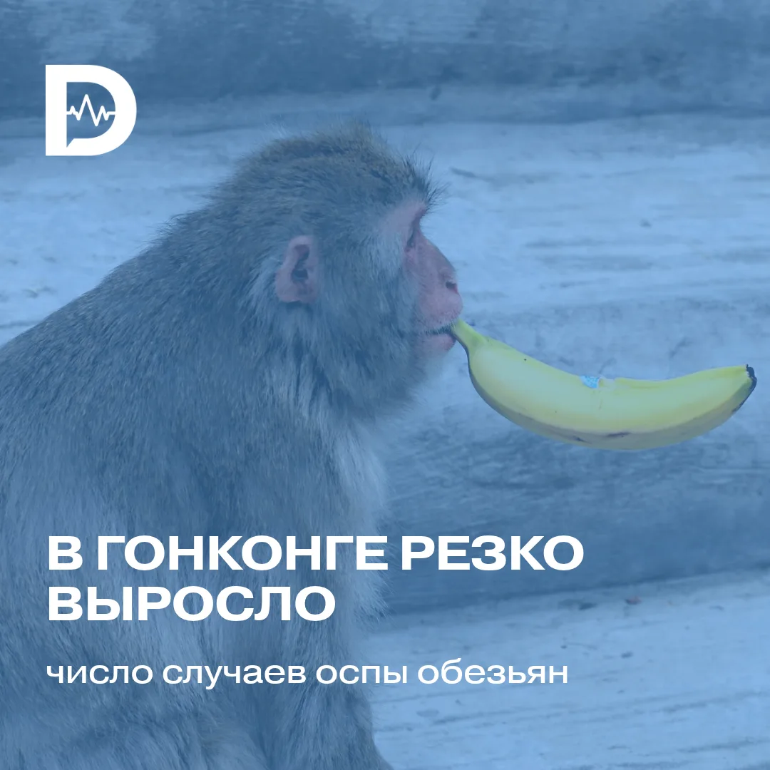 В Гонконге резко выросло число случаев оспы обезьян