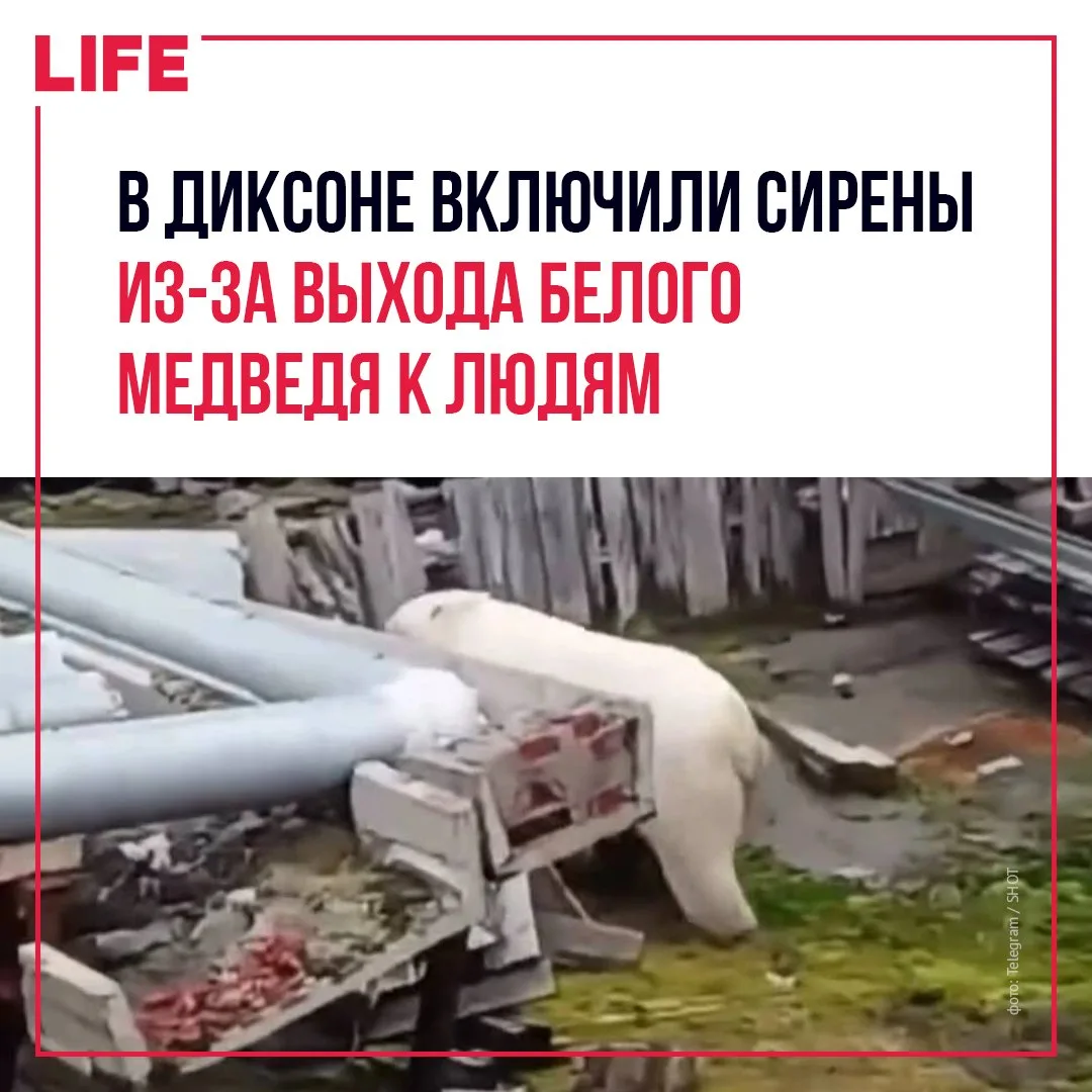 В арктическом посёлке Диксон Красноярского края пришлось включить сирены, чтобы прогнат...