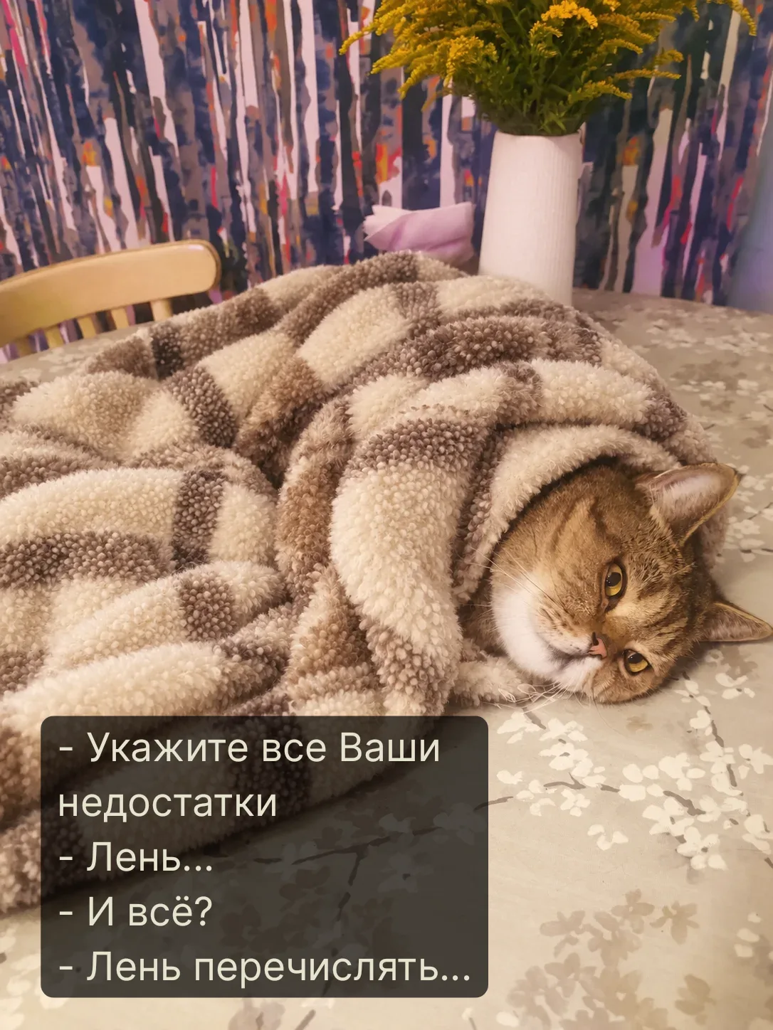 Пятница пришла и с ней - рубрика #котомемы 🎭какие у тебя могут быть недостатки, когда ...