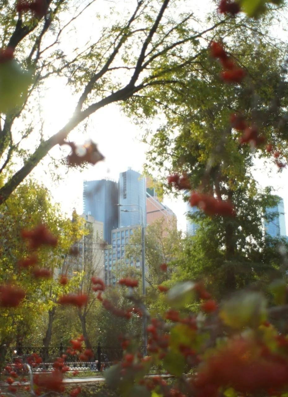 Сити в солнечный осенний день. 🍂