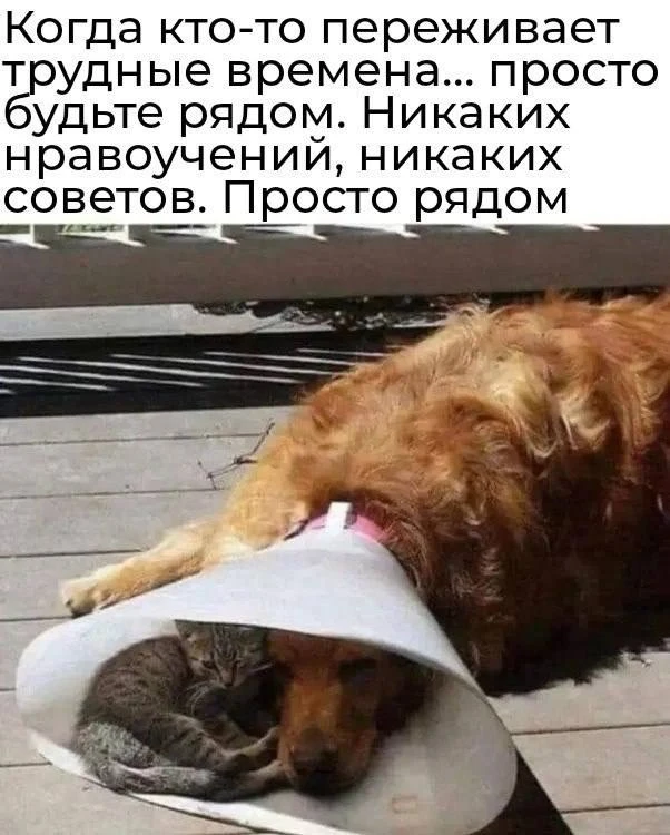 Подпишись на Кринжулю 👉🏻 в TG, в VK и в Макс