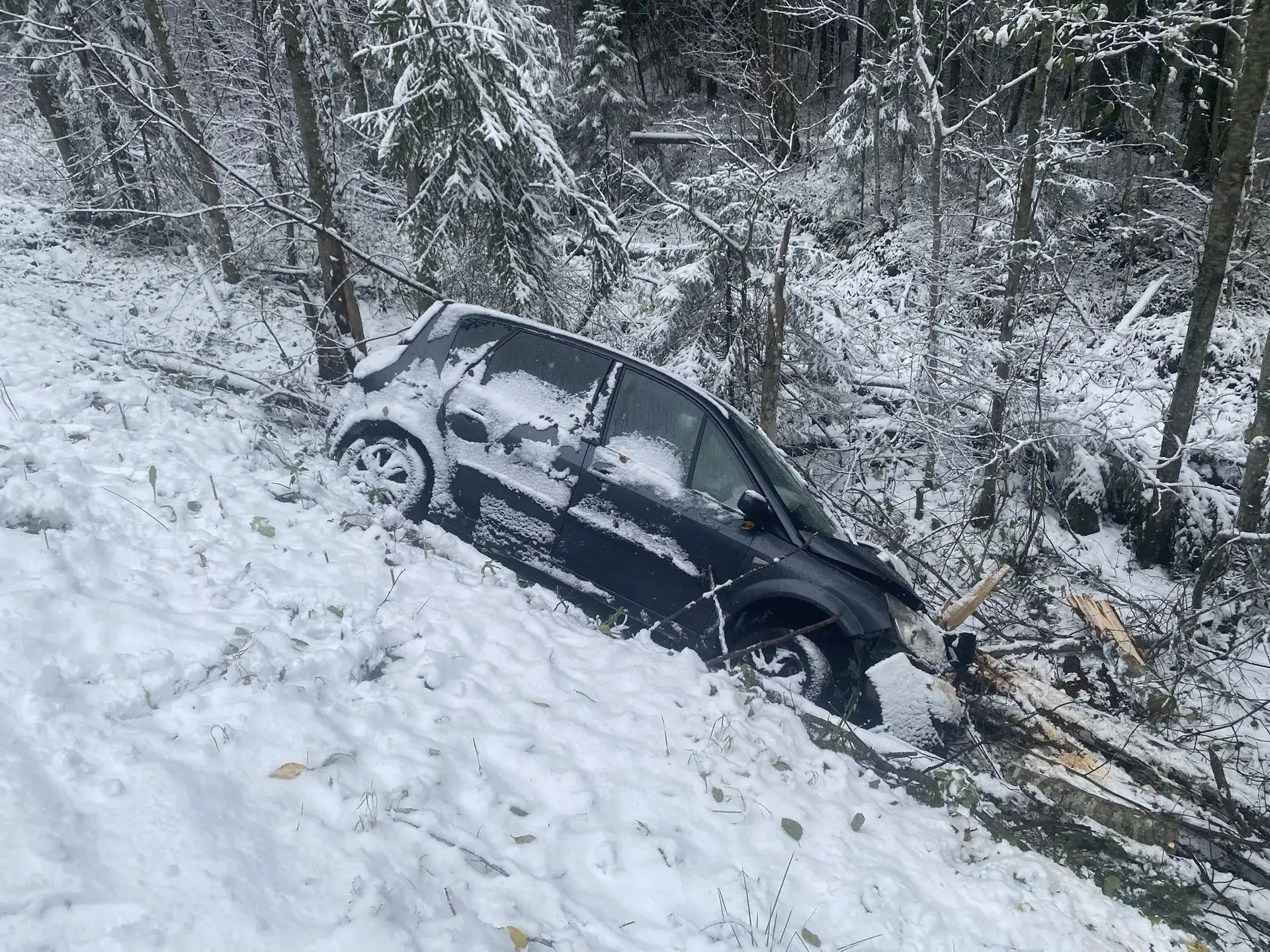 Renault вылетел в кювет и врезался в дерево в Карелии - пострадали две женщины