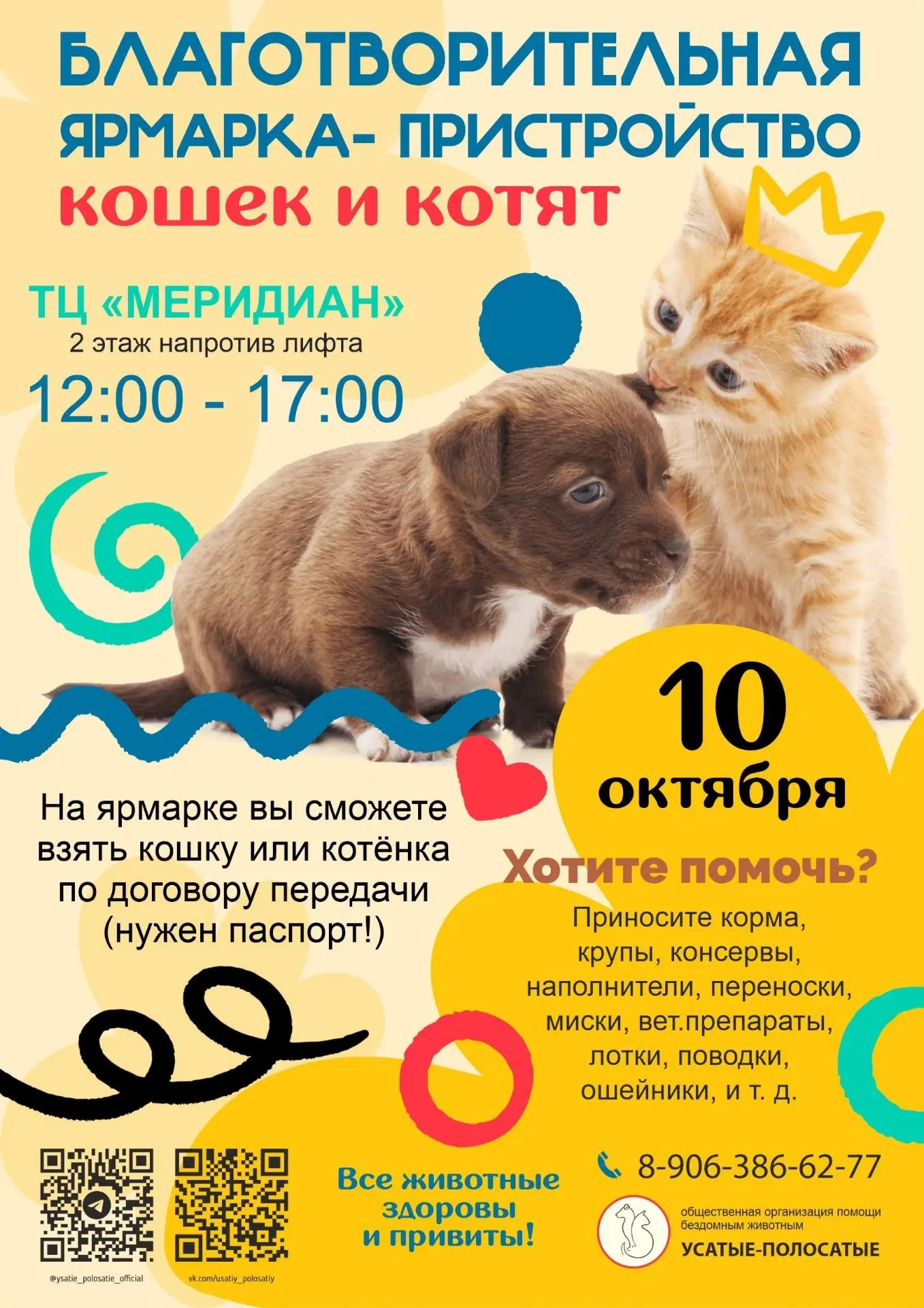 🐾 Завтра, 10 октября — наша еженедельная выставка-пристрой кошек и котят! 🐾
