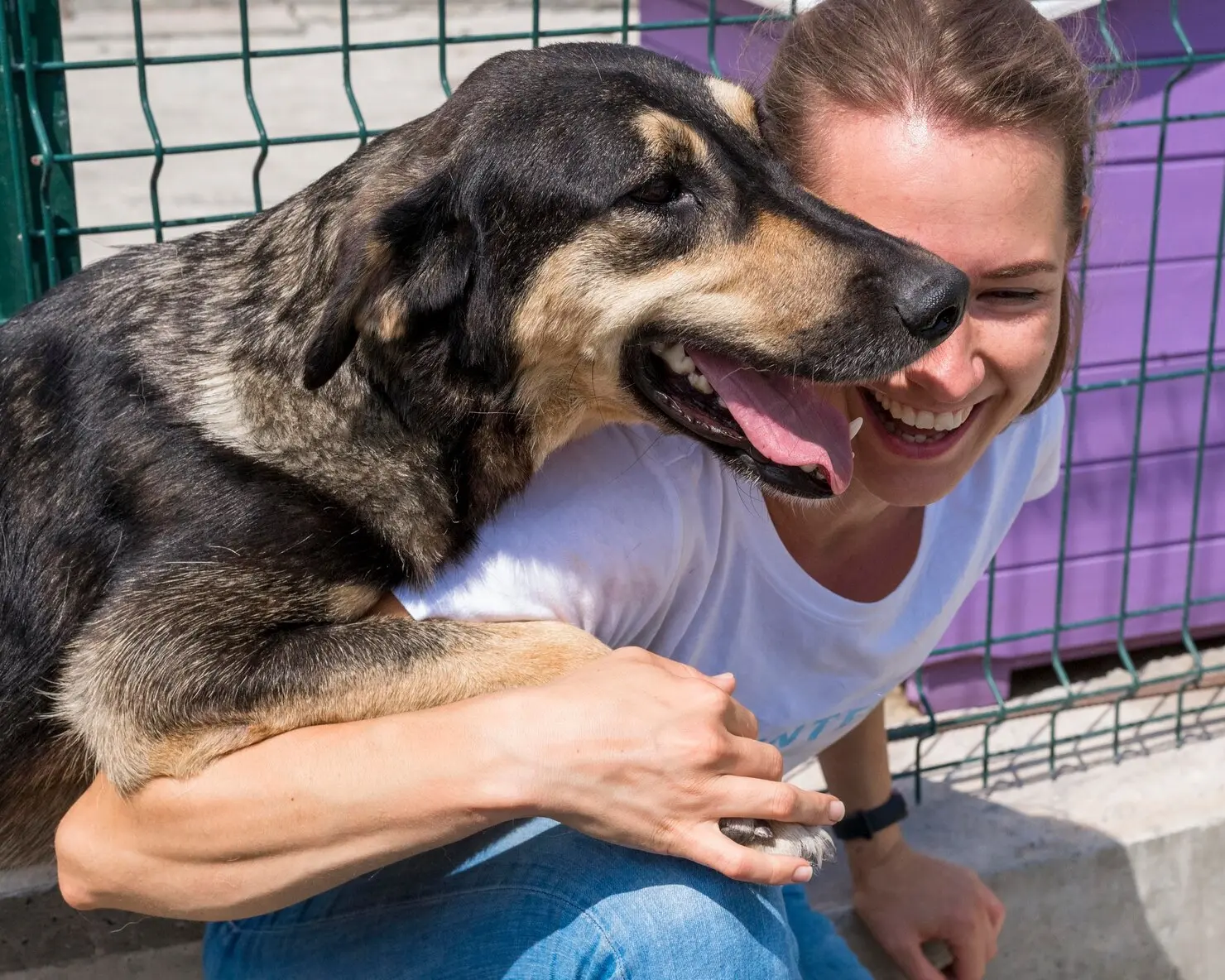 🐶 Приют для бездомных животных в Ильинке решили перенести в другое село подальше от домов