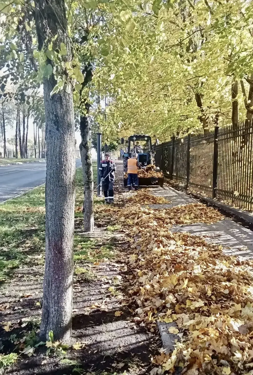 В городском округе Клин специалисты МАУ «Клинское городское хозяйство» продолжают навод...