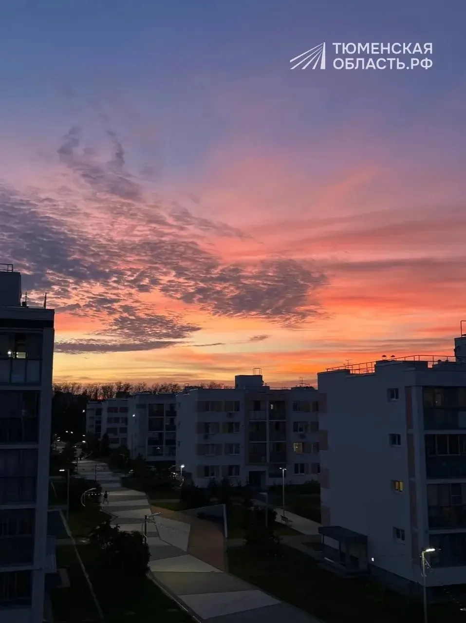 Вечер субботы был таким 🌇😻Отличного завершения!