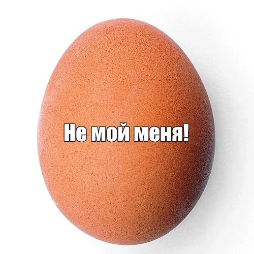 Россиянам разрешили не мыть яйца. Академик РАН Геннадий Онищенко выступил с заявлением,...