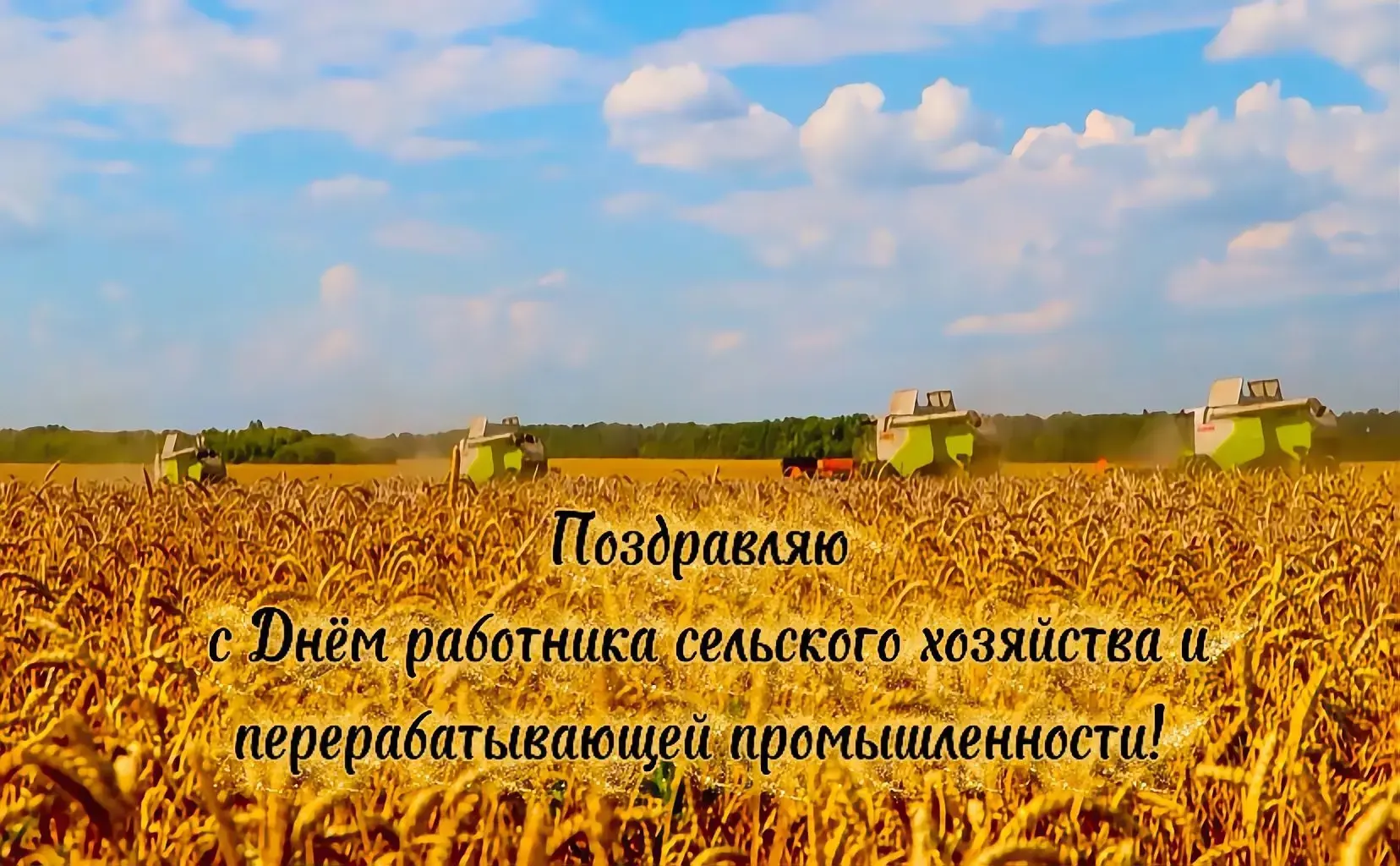 Уважаемые работники и ветераны сельского хозяйства и перерабатывающей промышленности!
