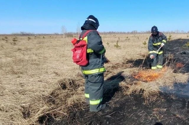 🔥 В лесах Ульяновской области установлен «красный» уровень угрозы пожаров