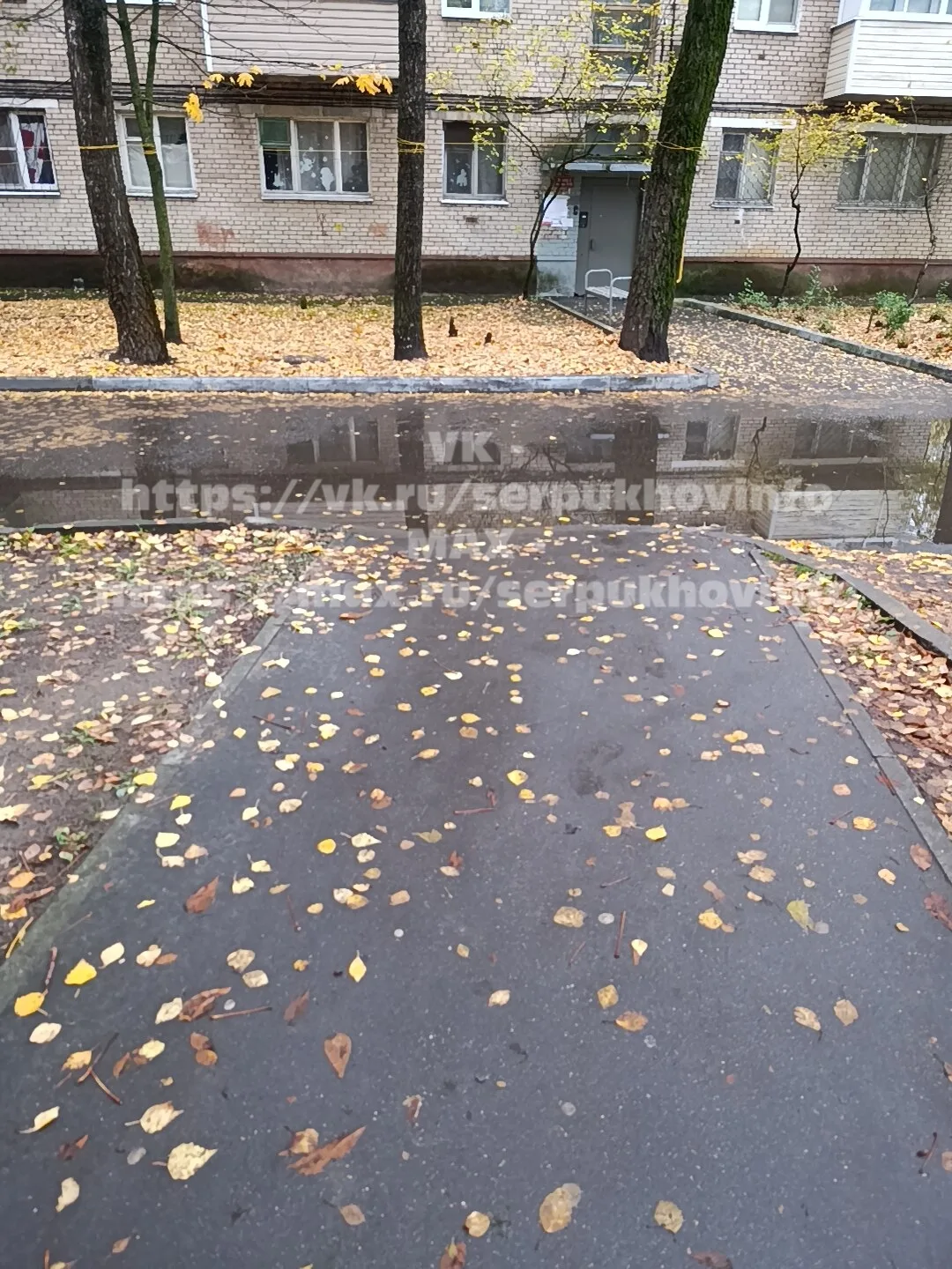 В центре Серпухова, во дворе, через который ежедневно проходят сотни горожан по пути в ...