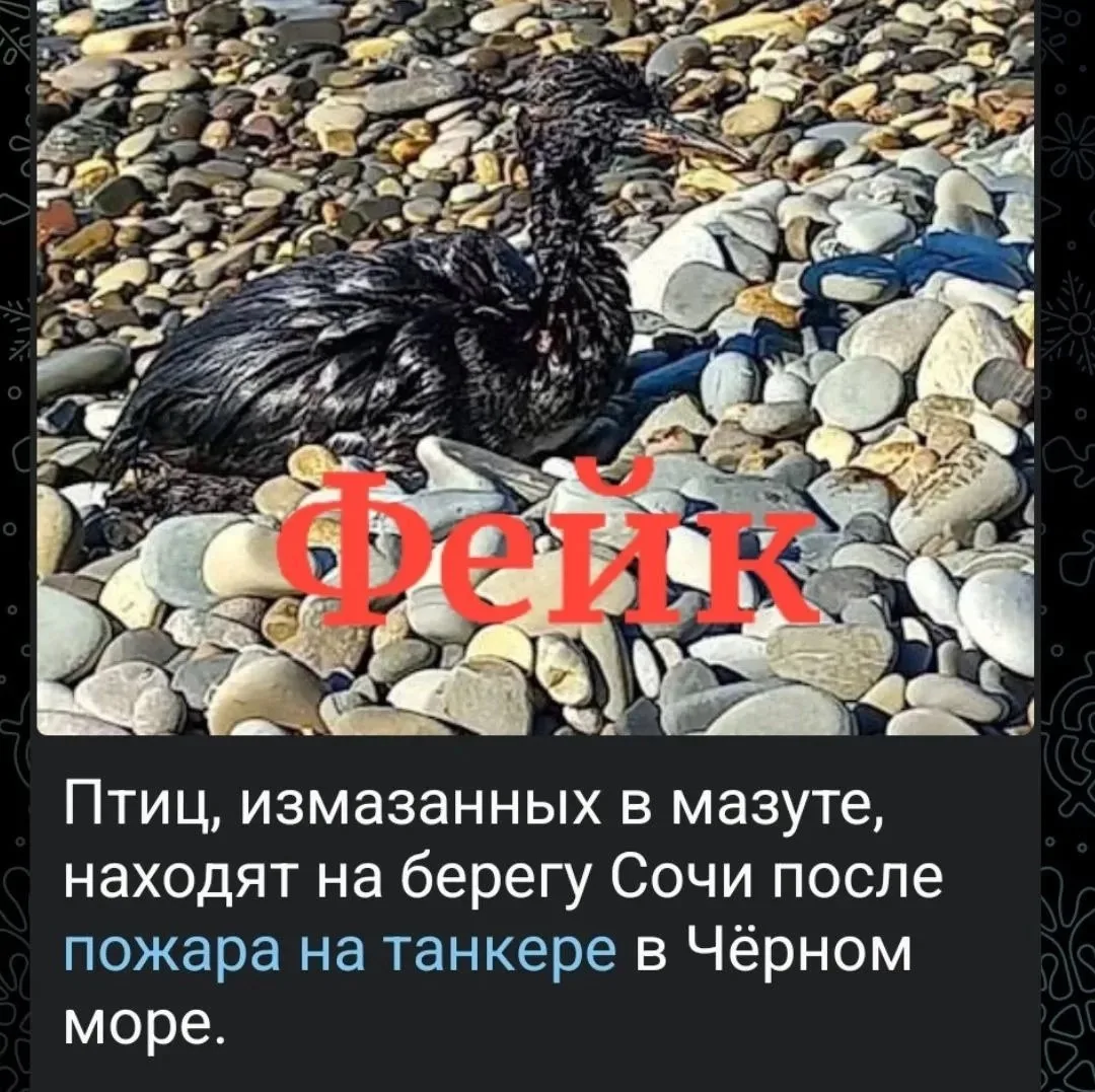 Вчера некоторые СМИ разнесли по сети весть о том, что после недавнего пожара на танкере...