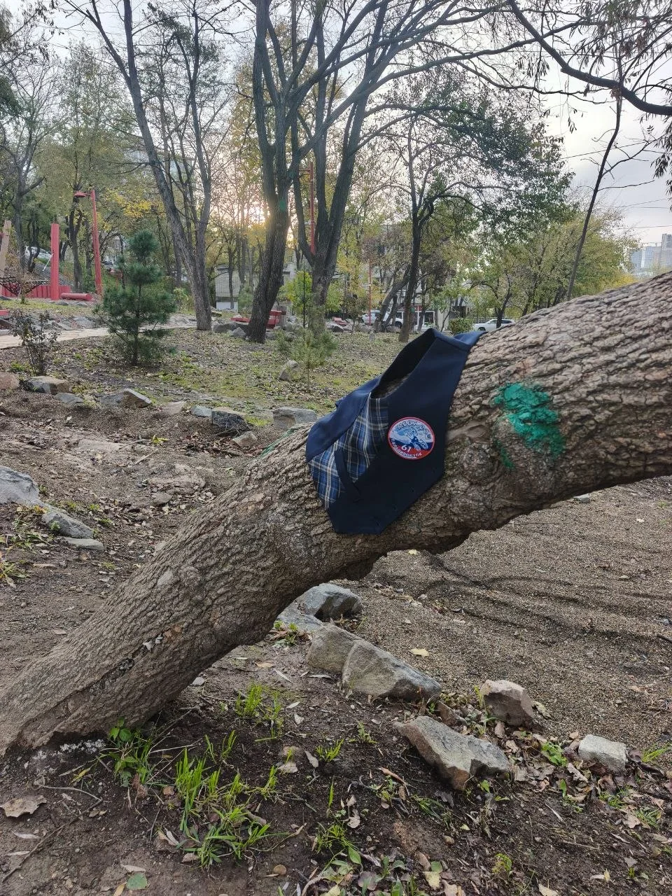 #нашли