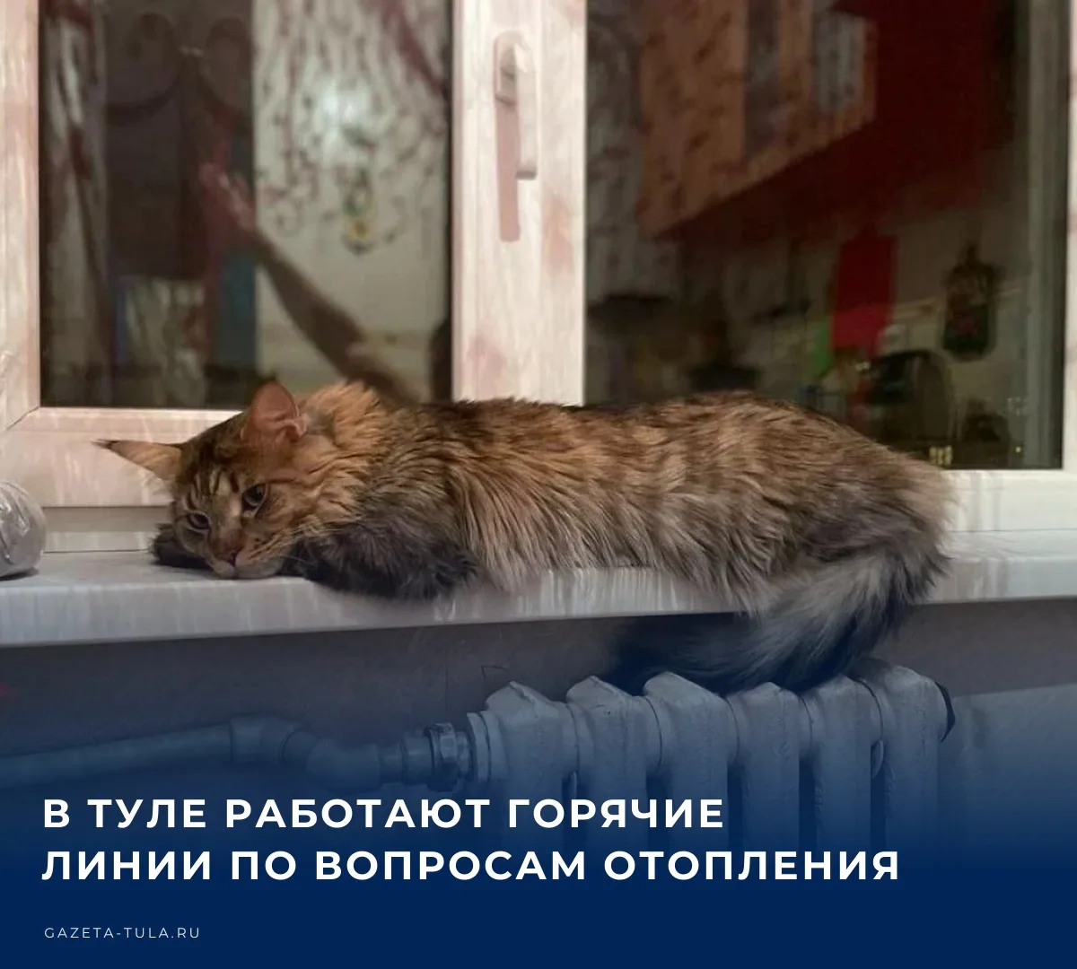 🔥 Если в квартире холодные батареи, жителям в первую очередь необходимо обратиться в с...
