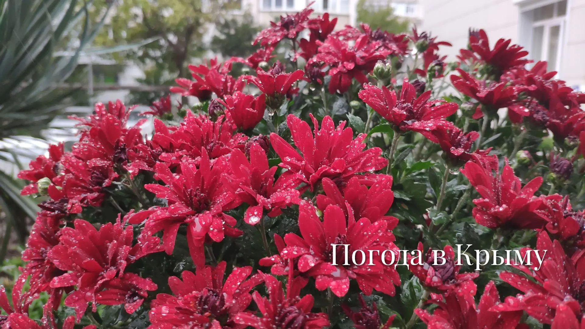 Доброе утро!