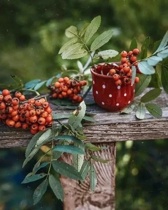 Доброе утро! 🍂☕️🍂