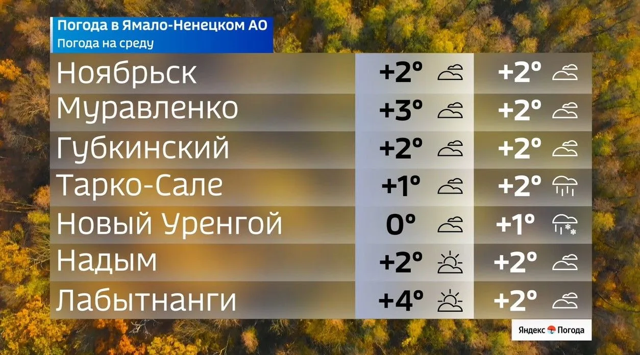 🌥 Облака, прохлада и немного дождя: погода на Ямале