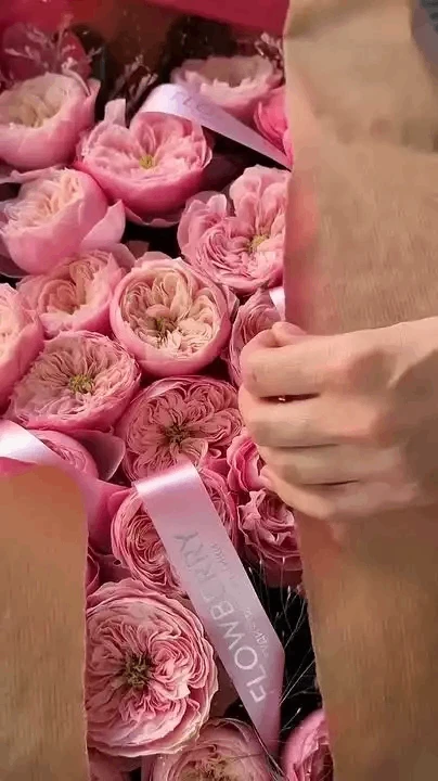 🔥 Новинка