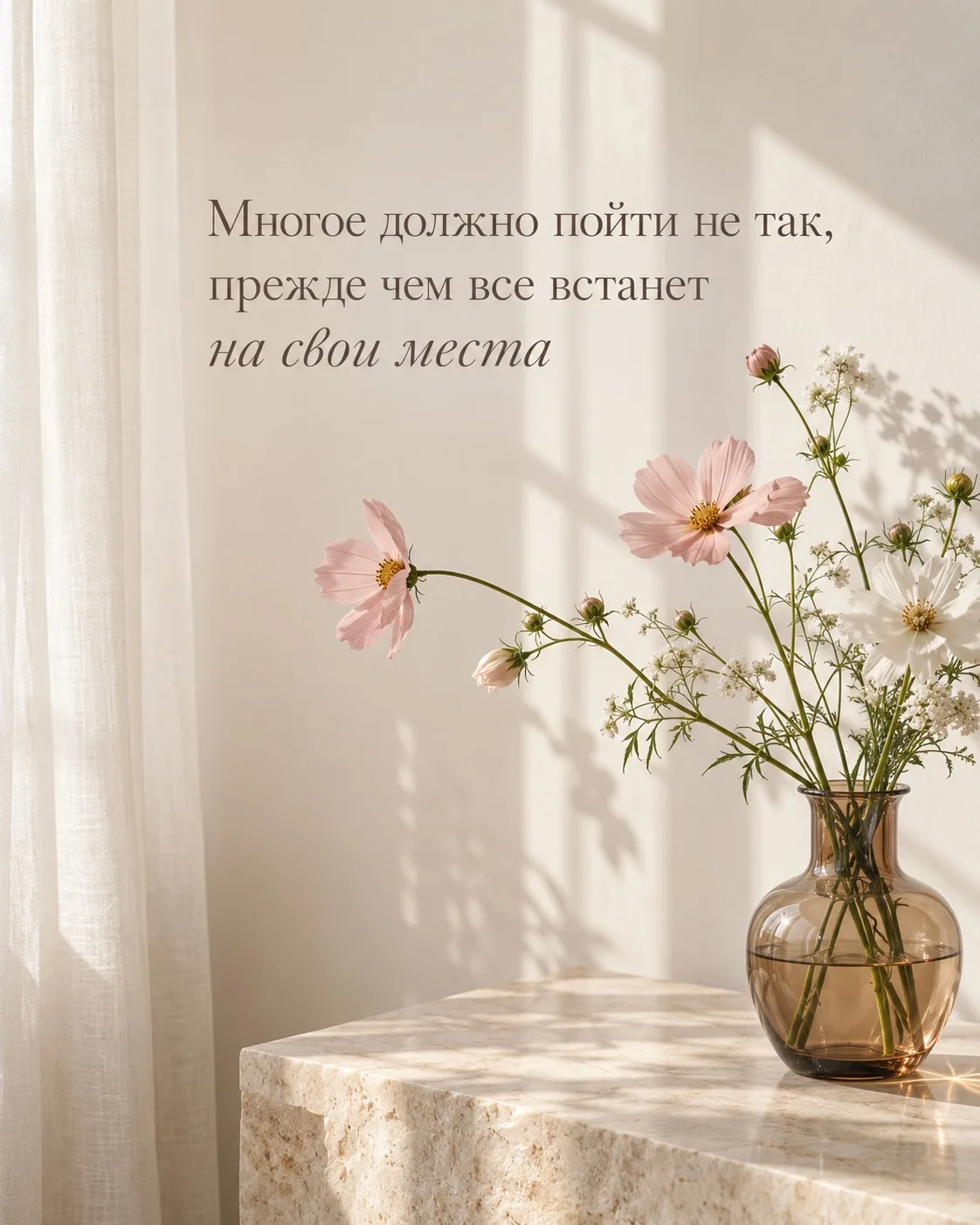 Дорогие мои!