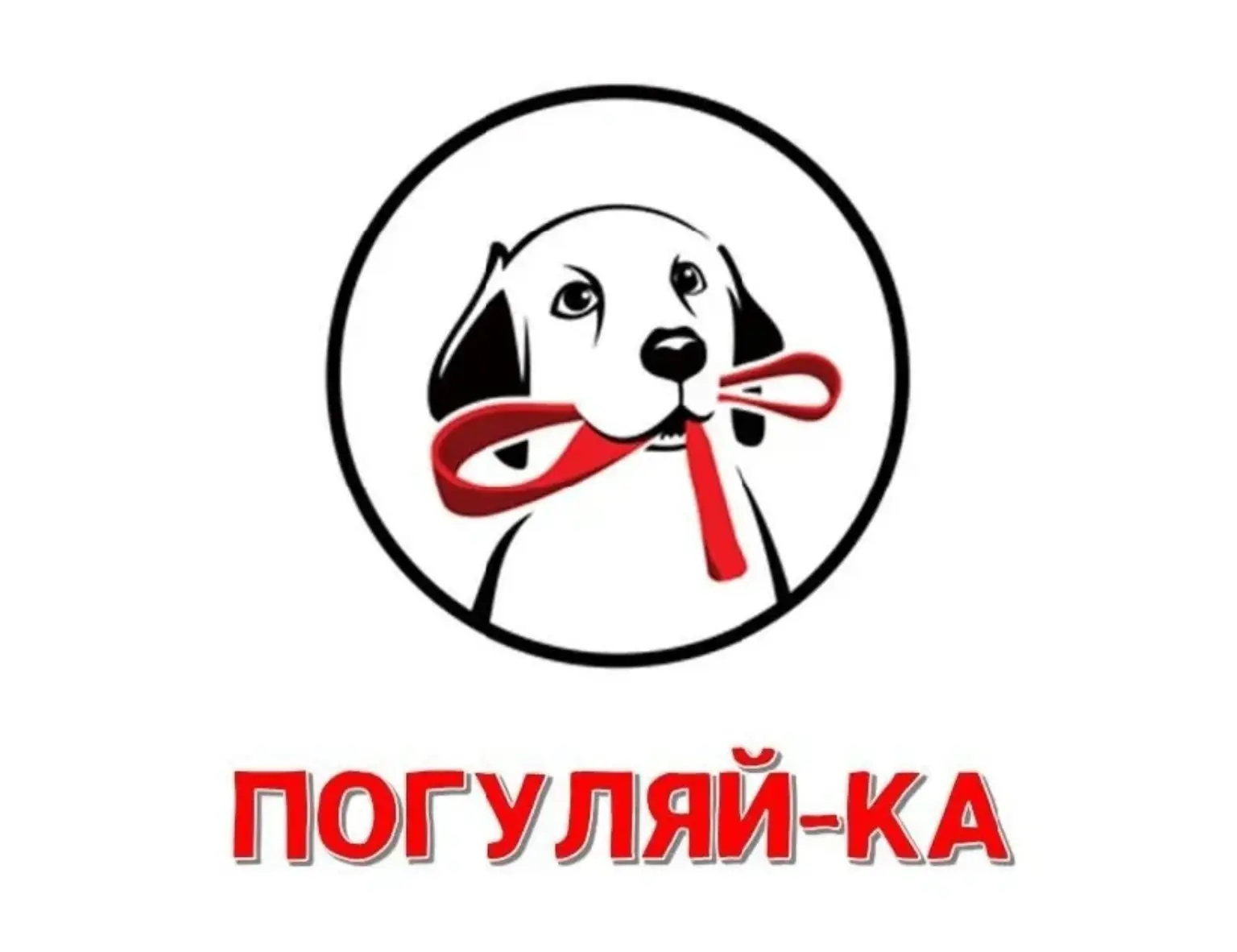 🫶Присоединяйтесь к благотворительному сбору корма для бездомных животных, проводимого ...
