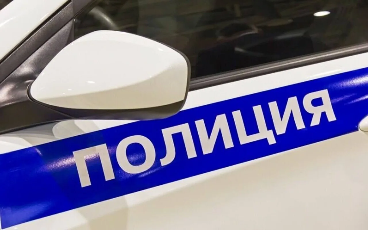 Петербуржца похитили ради iPhone 18 и авто