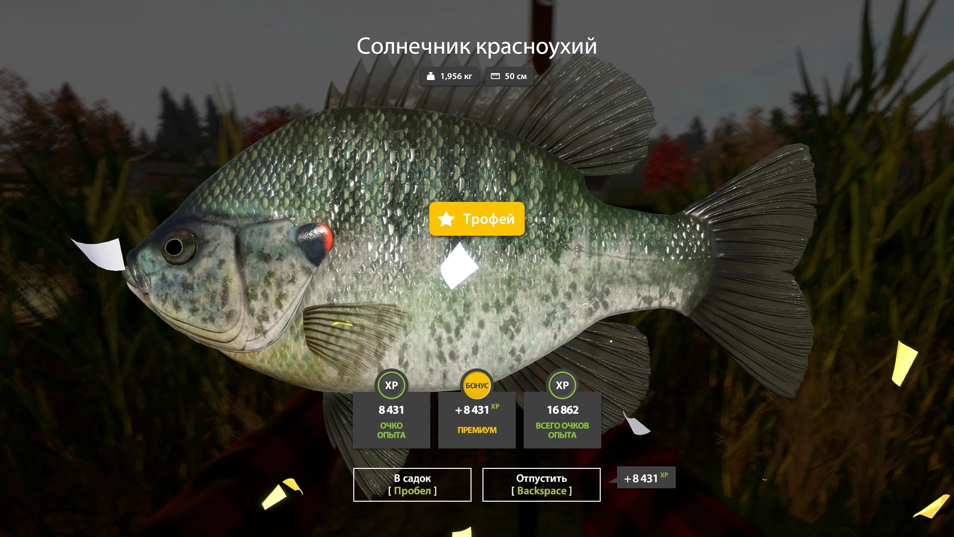 #лосиное@rr4pepper