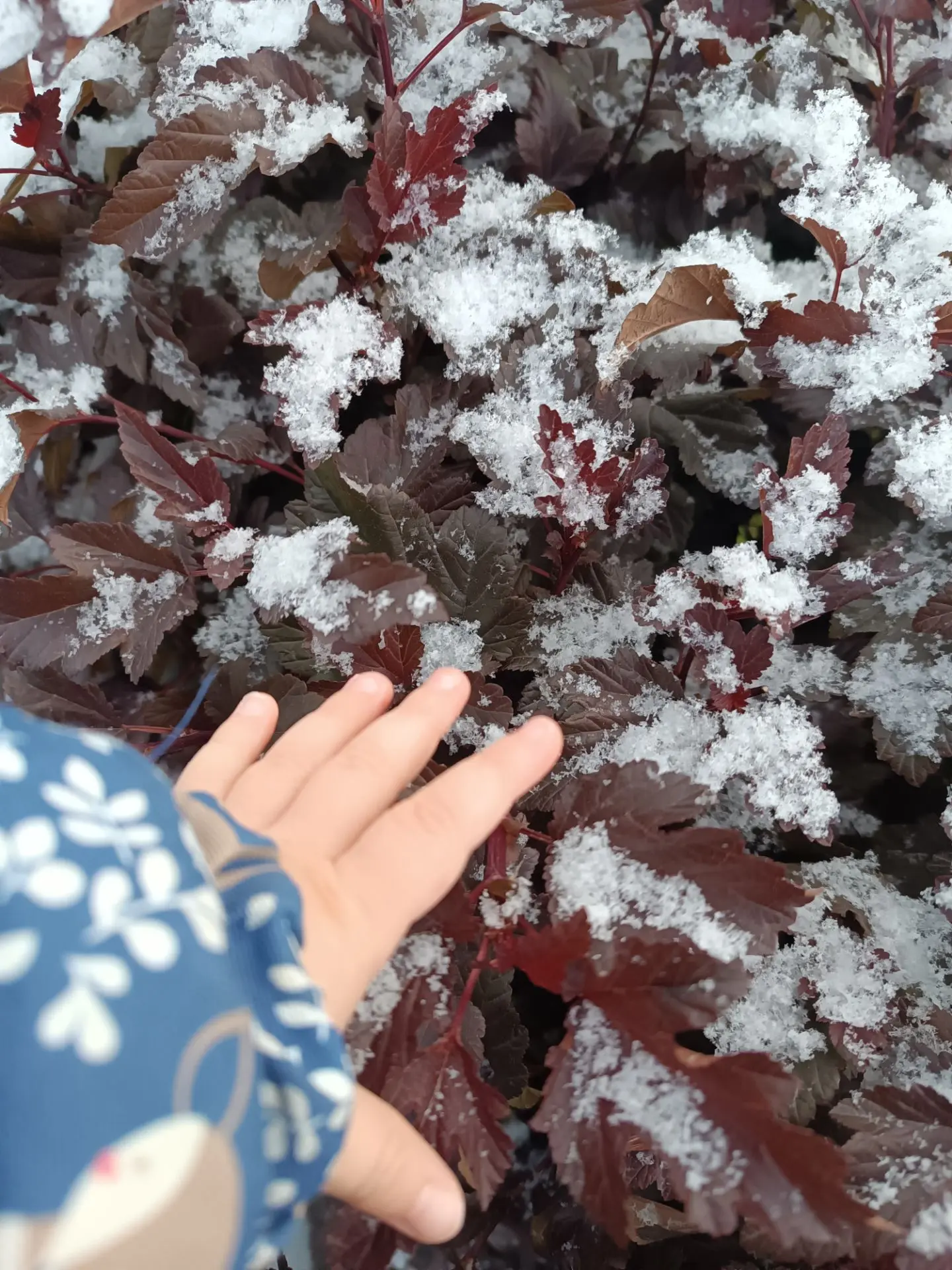 Сказка о потерянном времени на новый лад.