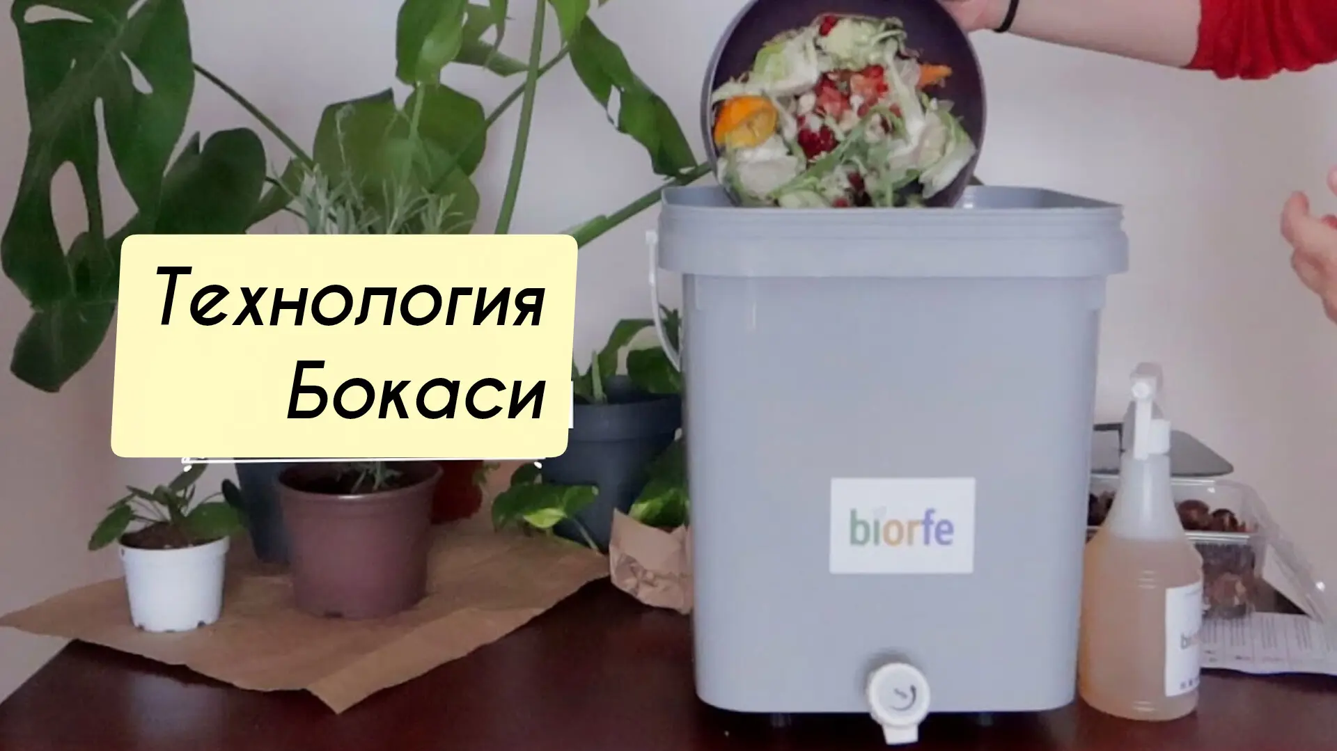 🥬 МУХИ, ЗАПАХ И ДРЯНЬ В ВЕДРЕ? КАК ЕВРОПЕЙЦЫ ДЕЛАЮТ БИОГАЗ И КОМПОСТ ПРЯМО В МНОГОКВАР...
