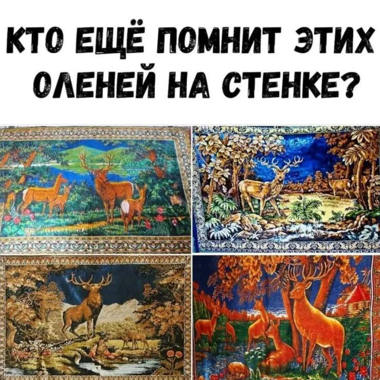 А вы помните оленей на стене? 😇