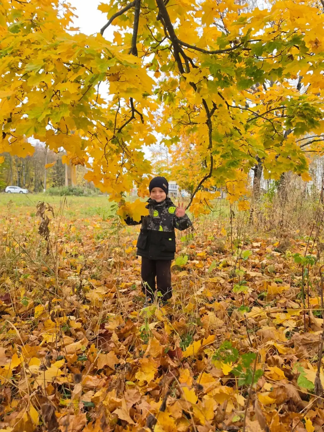 🍁Фотоконкурс: «Краски осени»!!!🍁