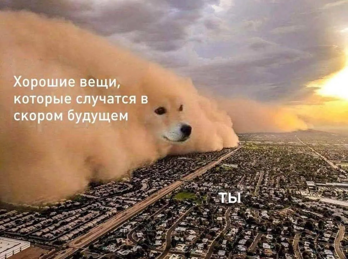 Мем-прогноз на 14 октября: Чего ожидать от сегодняшнего дня? Смотри на фото