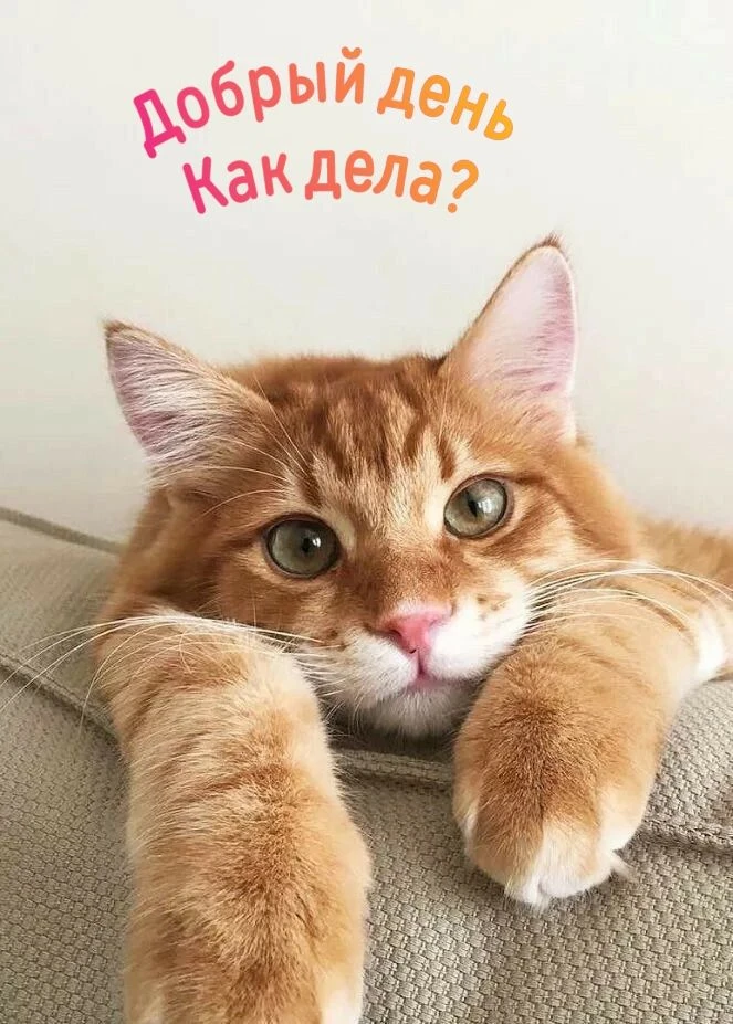 Место силы🌱Подписаться