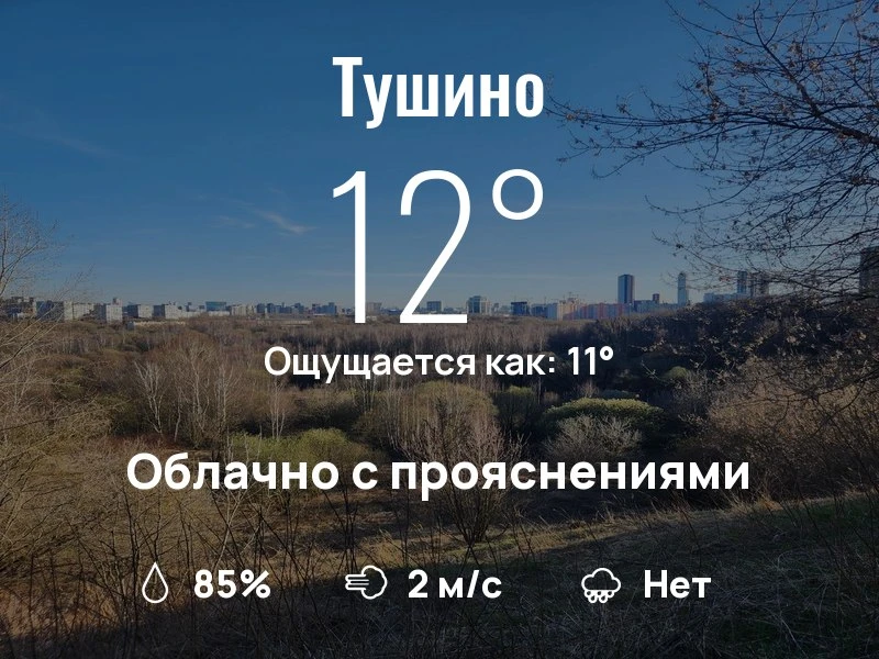 Что с погодой в Тушино?