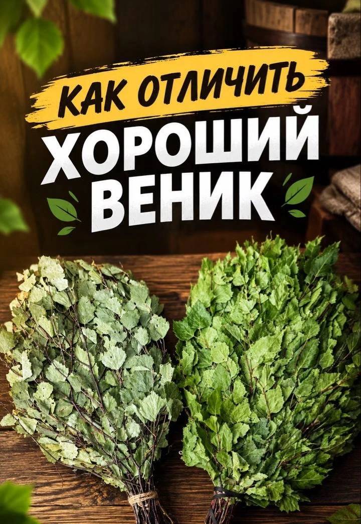 ⁉️Как отличить хороший веник?