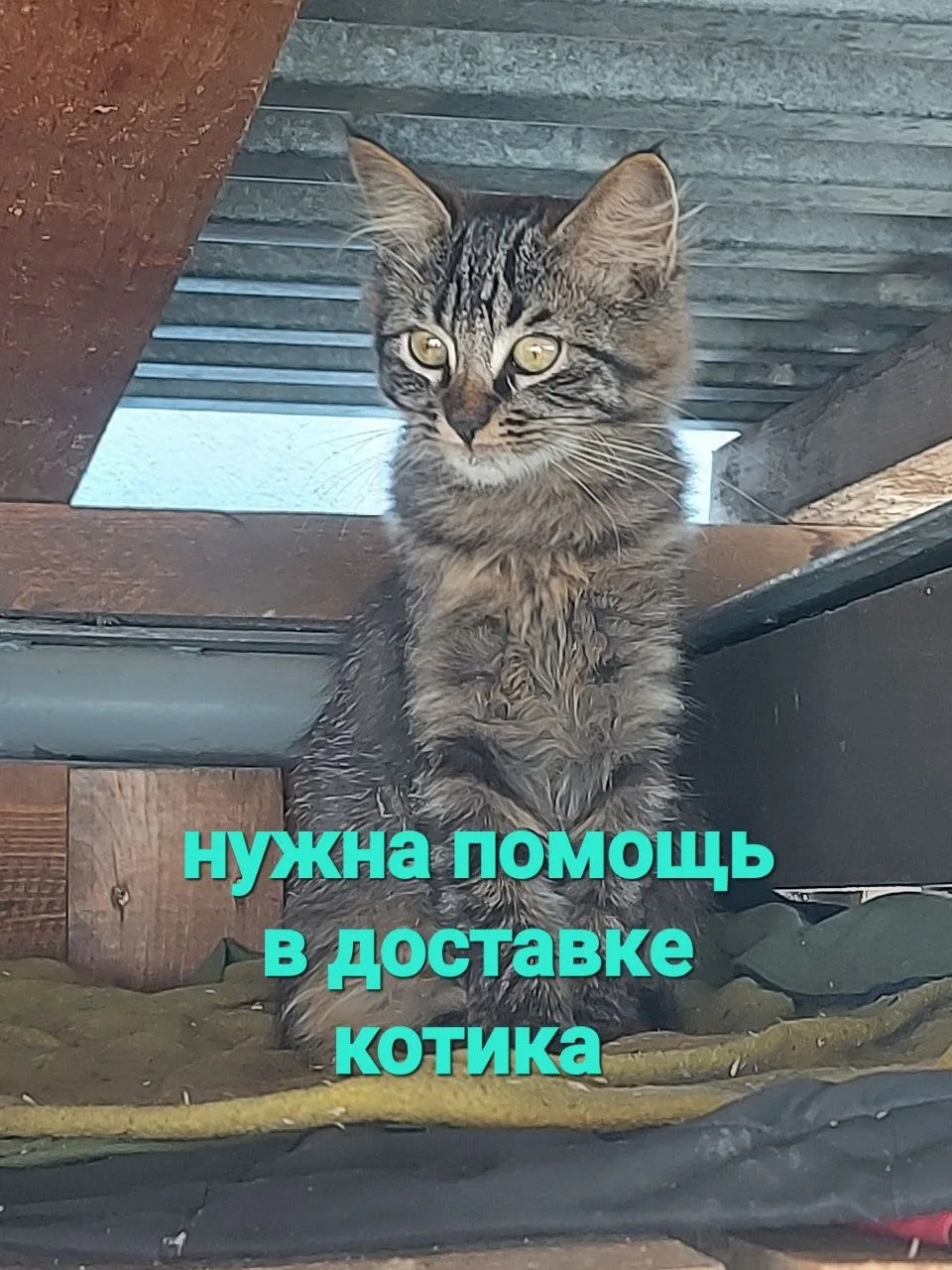 ⚠️ НУЖНА ПОМОЩЬ В ДОСТАВКЕ