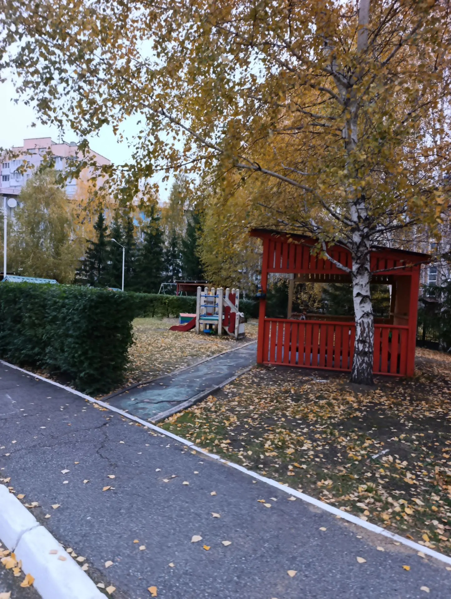 Доброе утро 🌞