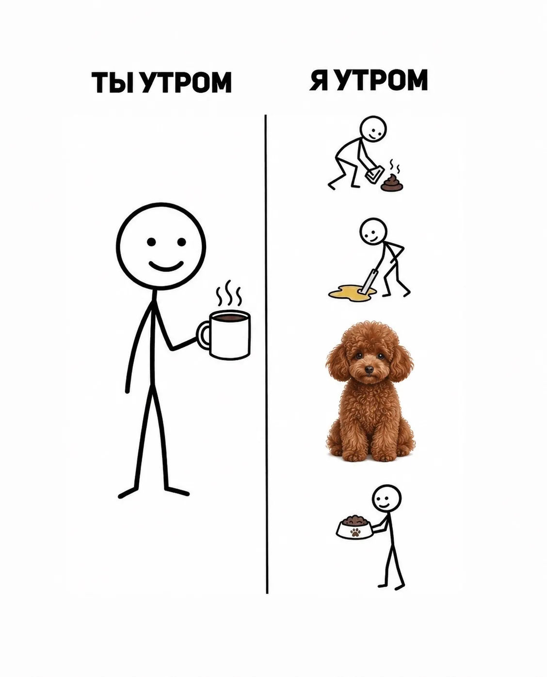 #мемы