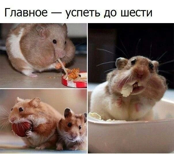 😉😉😉
