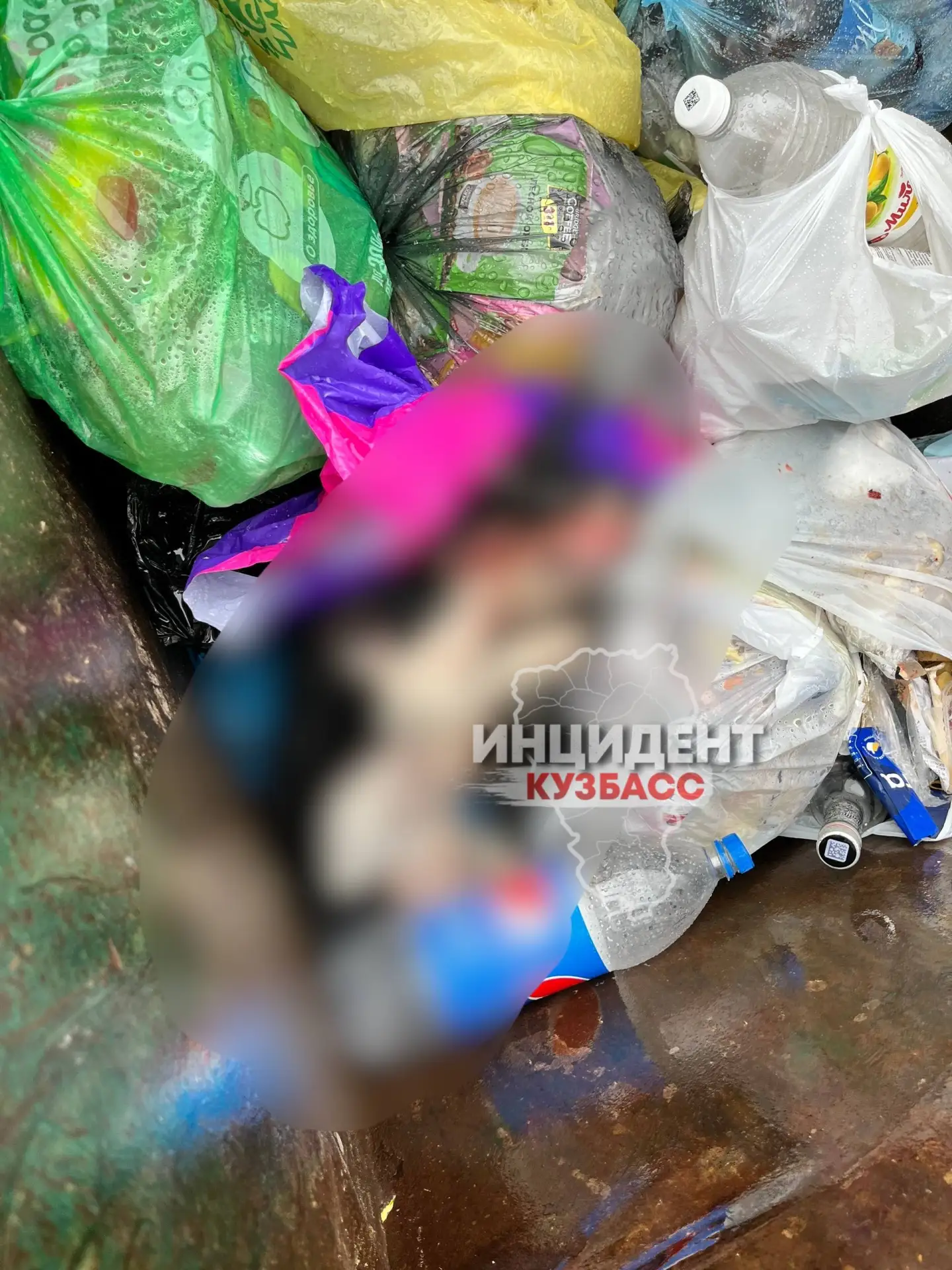 ❗️Пьяный мужчина на глазах у детей зарезал домашних питомцев