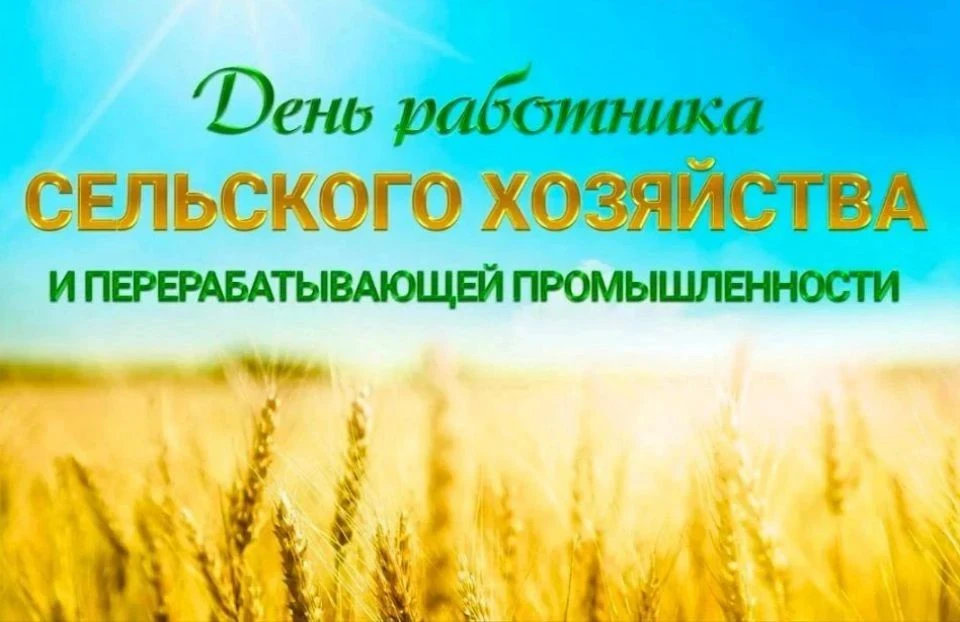 Сегодня, во второе воскресенье октября, вся страна отмечает профессиональный праздник, ...
