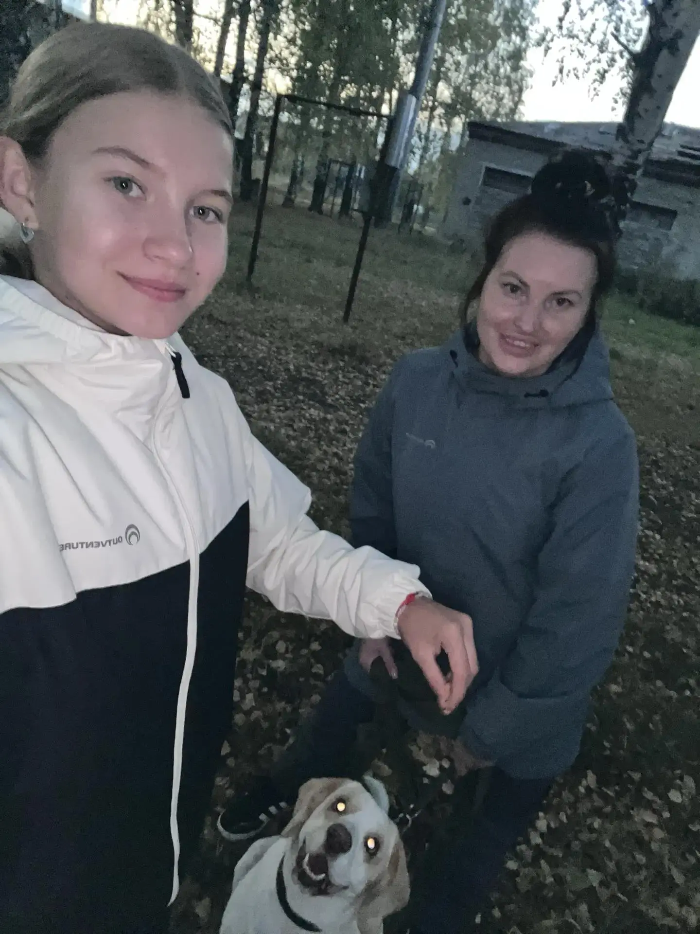 #мызасемейныеценности