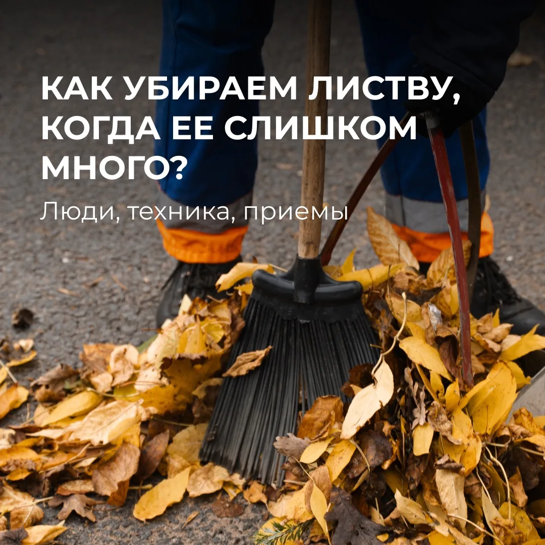 Со стороны уборка листвы кажется понятным делом: собрал все в кучу и увез. Но в масштаб...