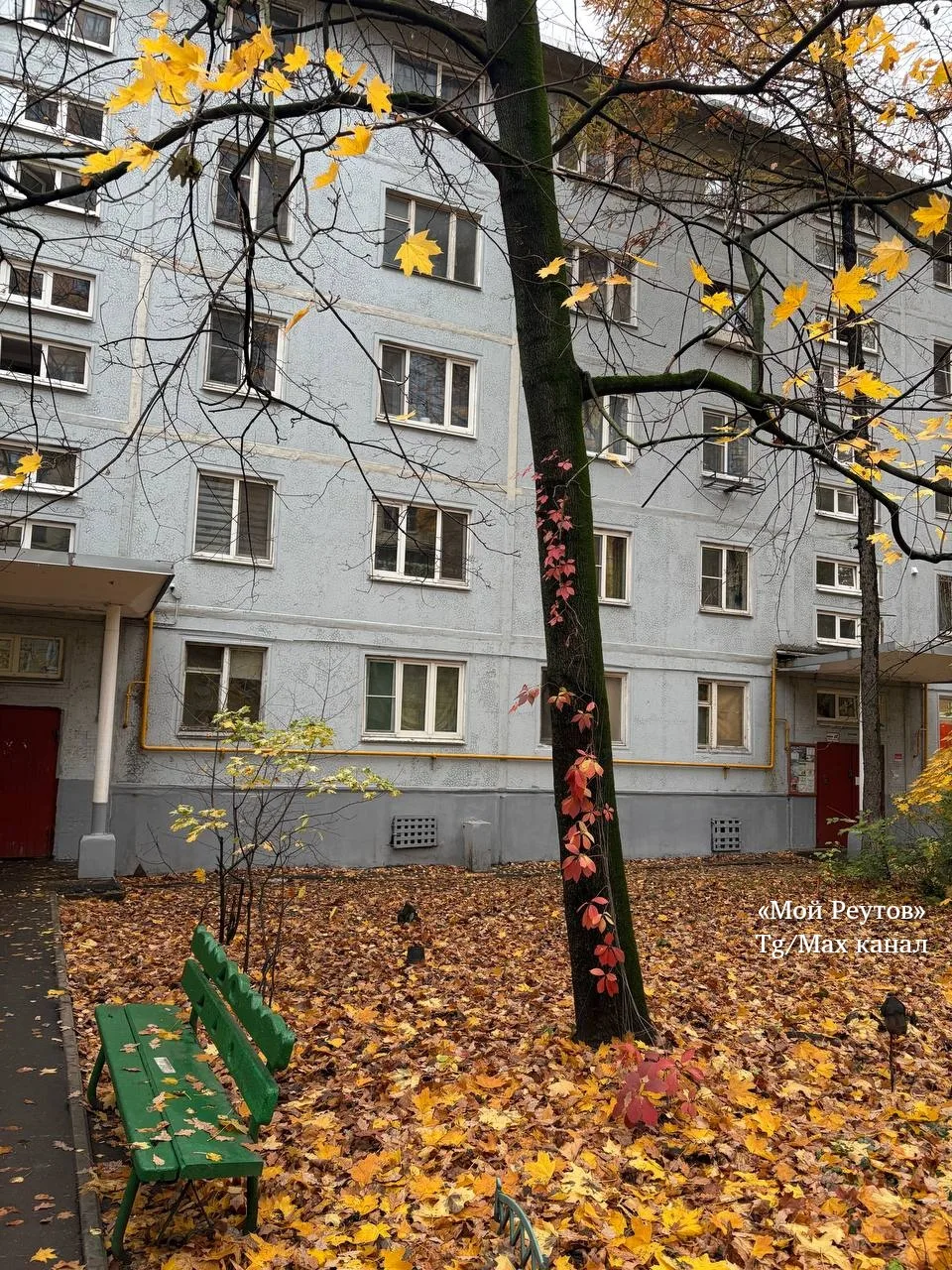 🍁Красота на Комсомольской 23