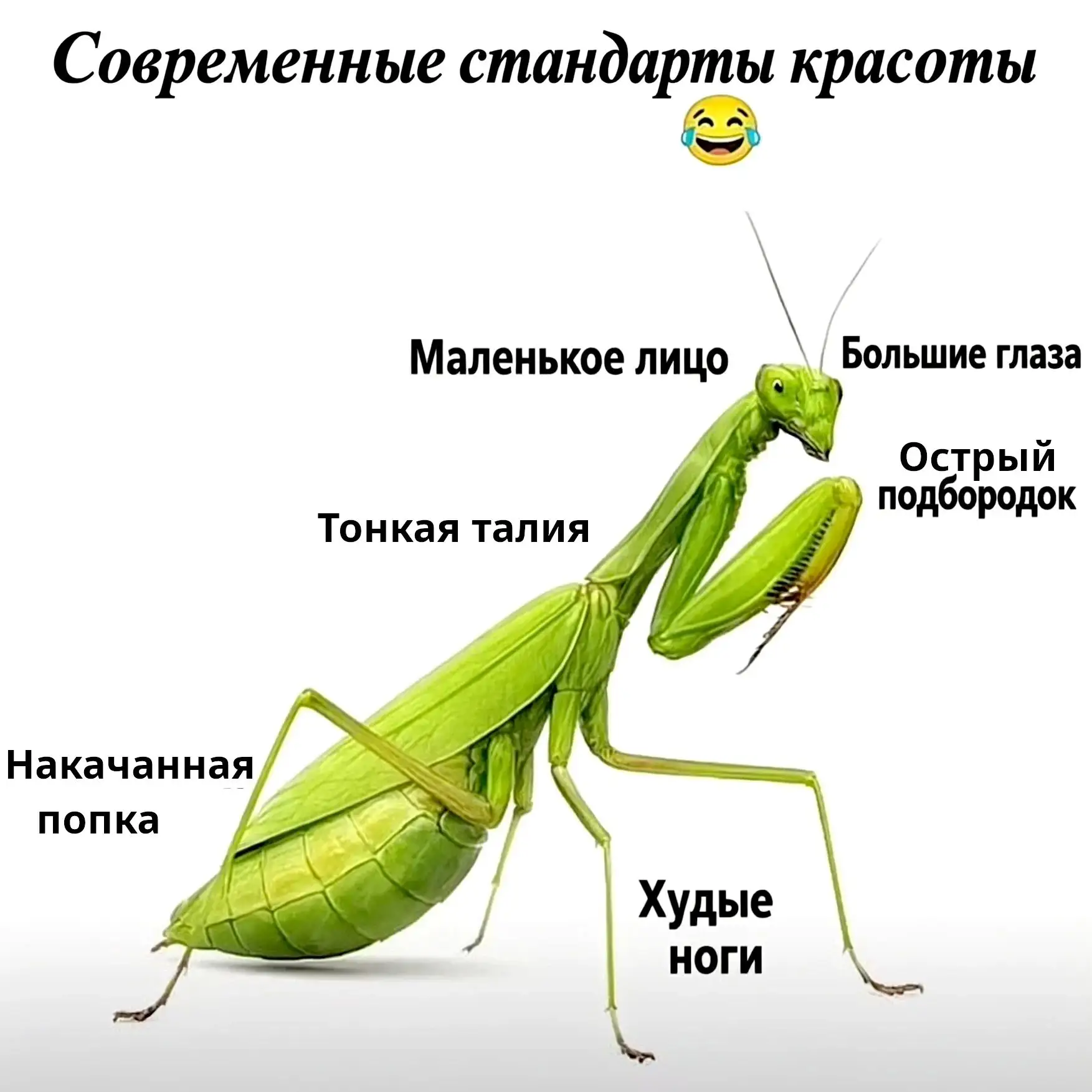 Красивая и современная! 🤷‍♀️