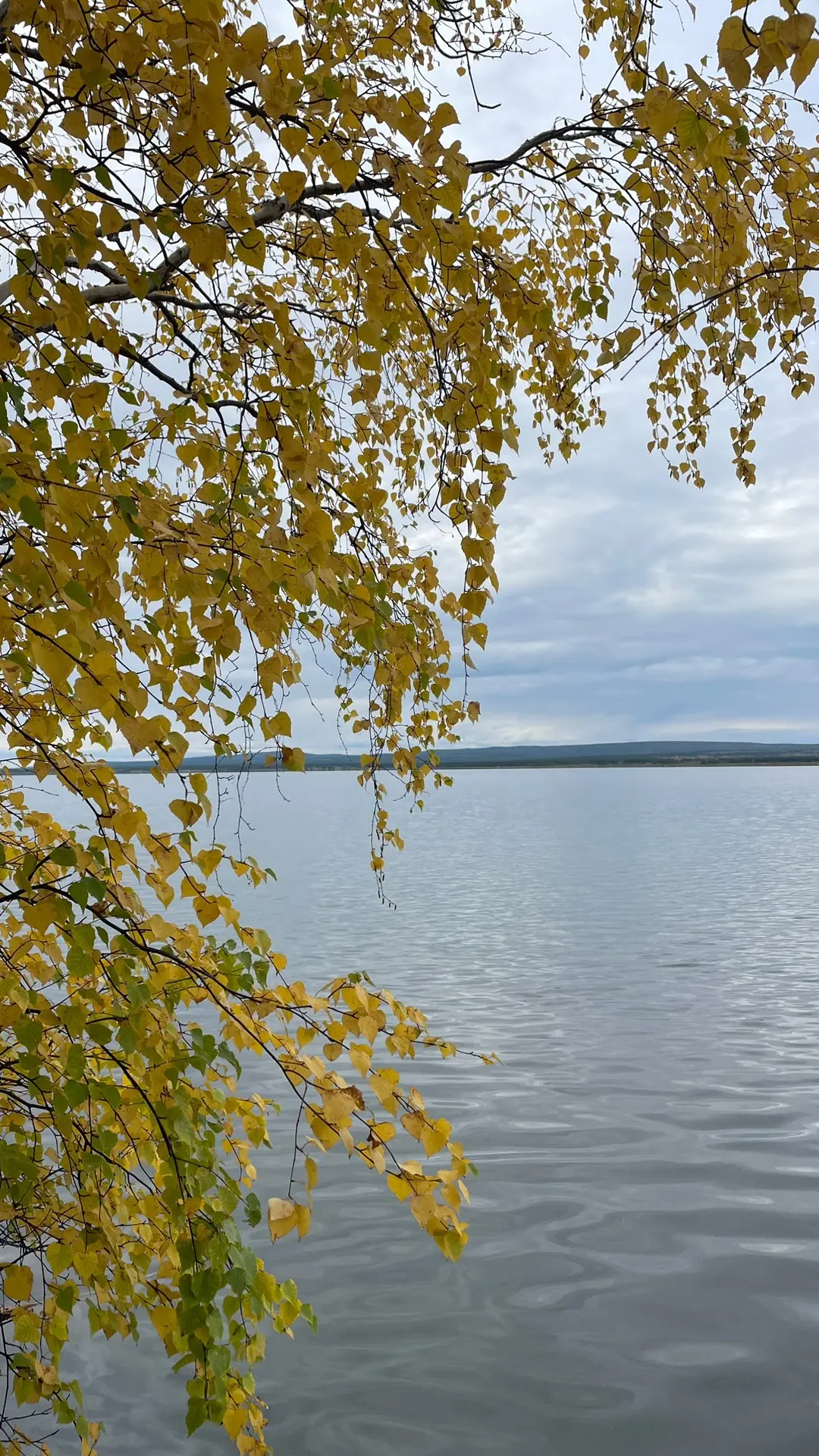 🍂Забайкальская осень на заставку телефона!