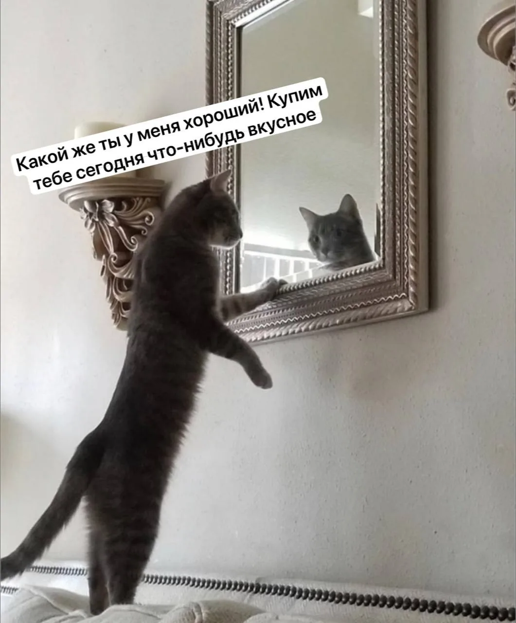 Доброе утро!