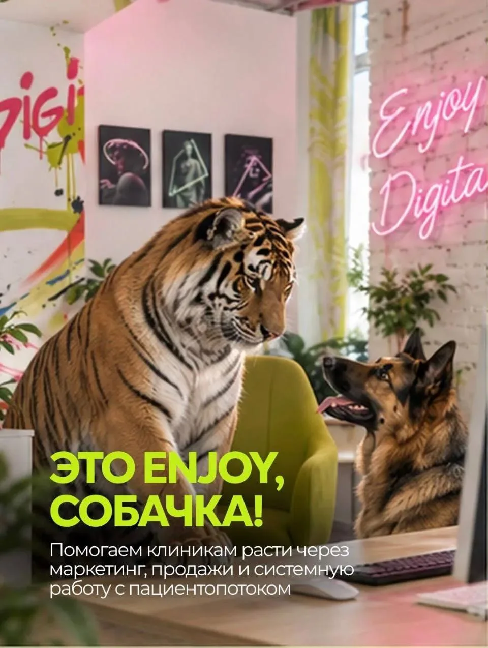 Это Enjoy digital, собачка ⚡️
