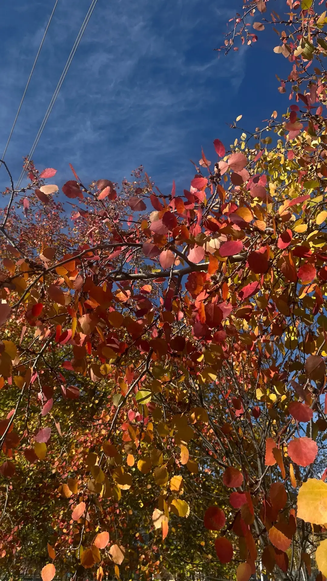 Доброе утро, Сургутский район! 🍂