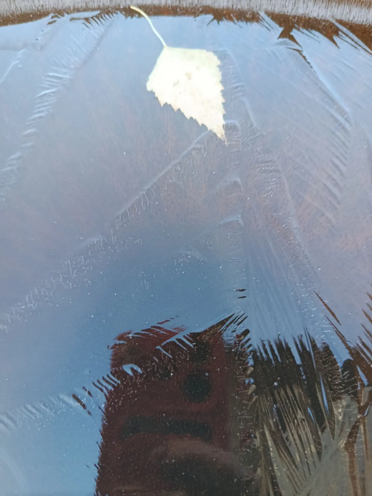 Замерзшая  вода в бочке 🛢️.