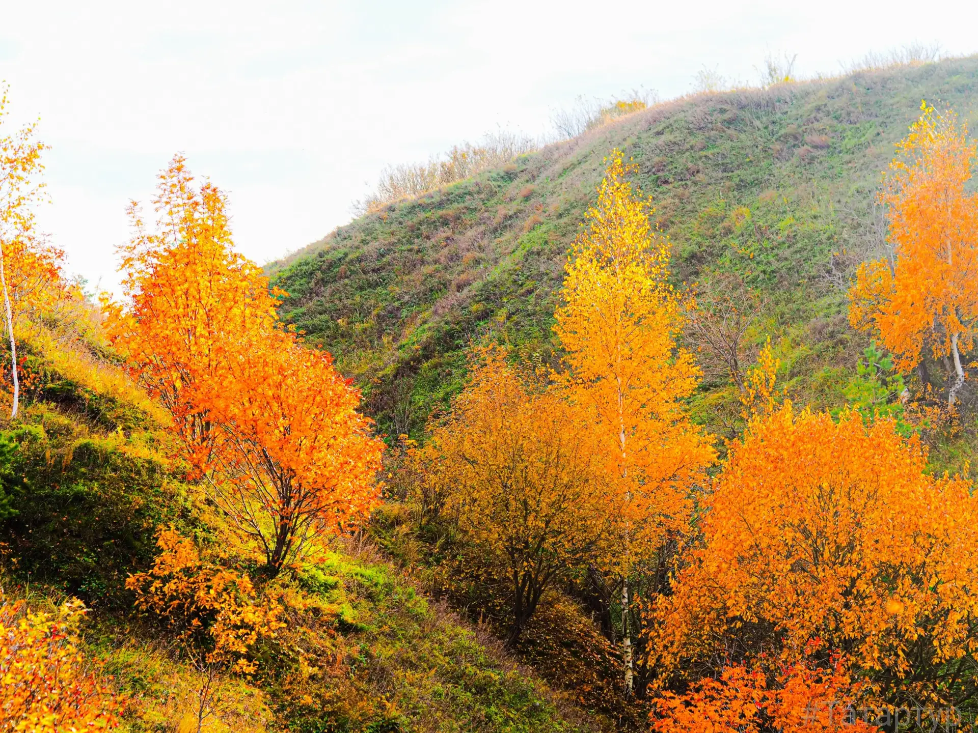 🍂 Просторы Камского Устья